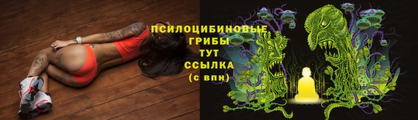 гашик Бронницы