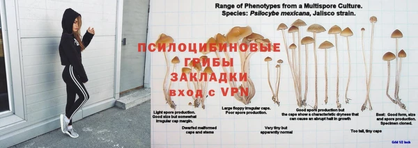 кокаин перу Бородино