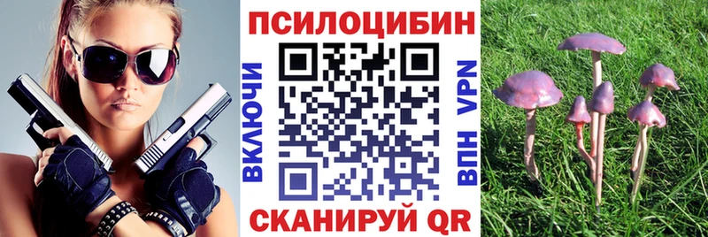 наркотики  Гдов  Галлюциногенные грибы GOLDEN TEACHER 